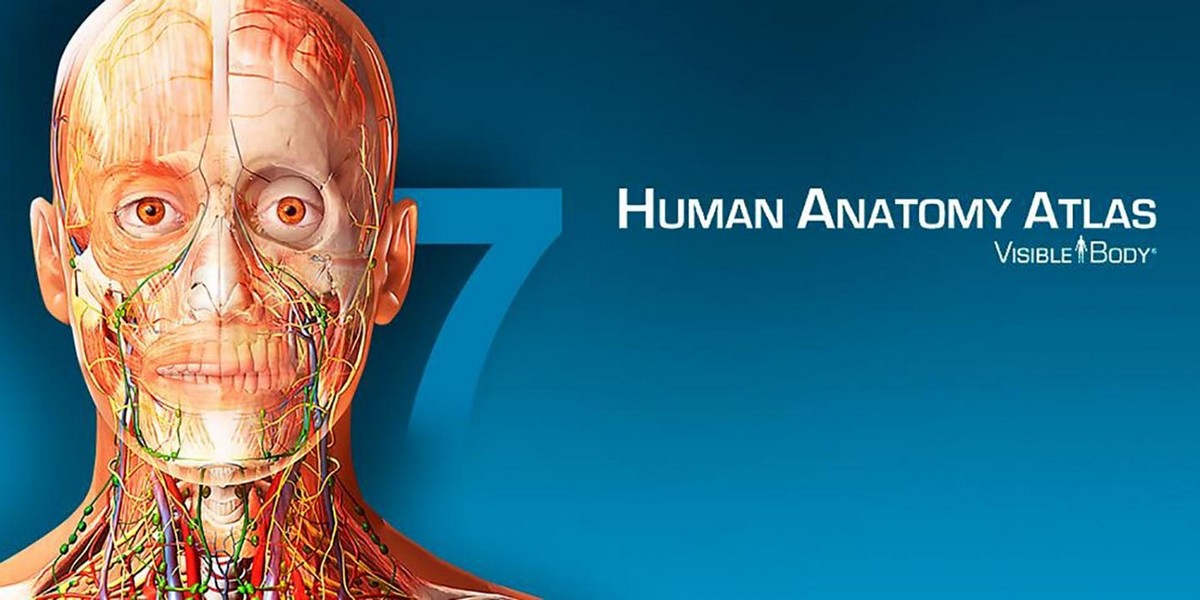 Human Anatomy Atlas 2025