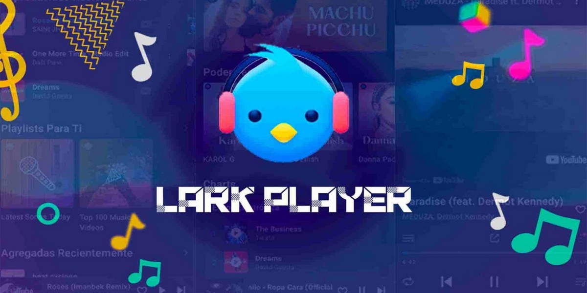 Lark Player